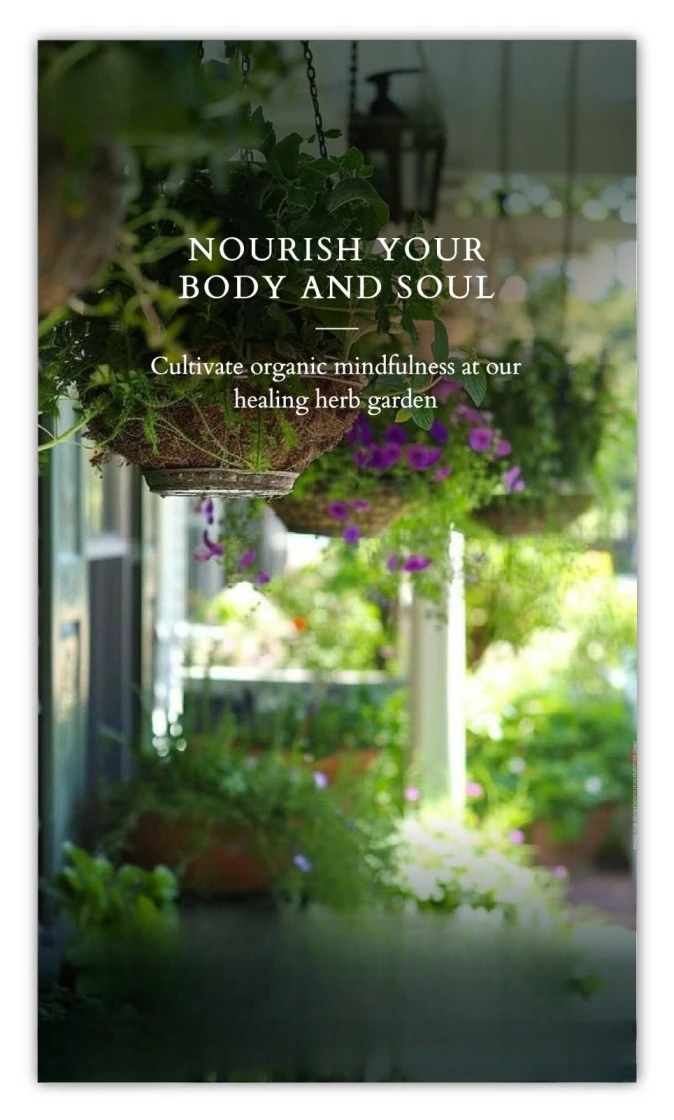 Nourish Your Body & Soul